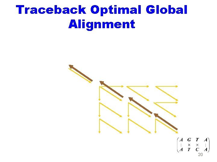 Traceback Optimal Global Alignment 20 