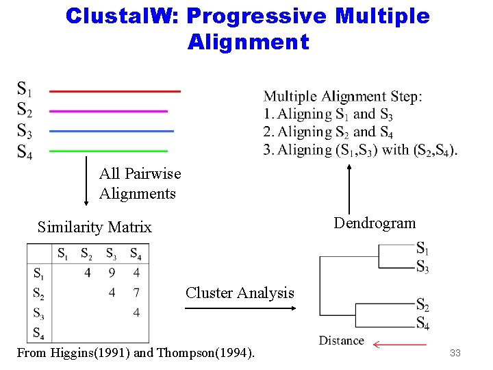 Clustal. W: Progressive Multiple Alignment All Pairwise Alignments Dendrogram Similarity Matrix Cluster Analysis From