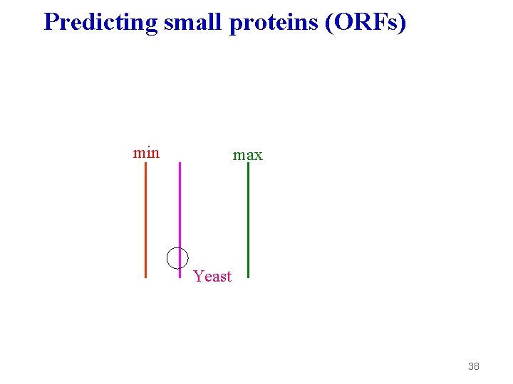 Predicting small proteins (ORFs) min max Yeast 38 