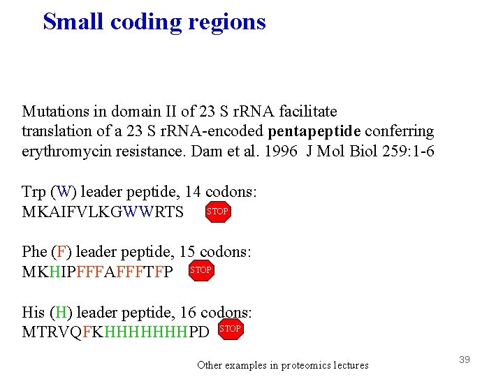 Small coding regions Mutations in domain II of 23 S r. RNA facilitate translation