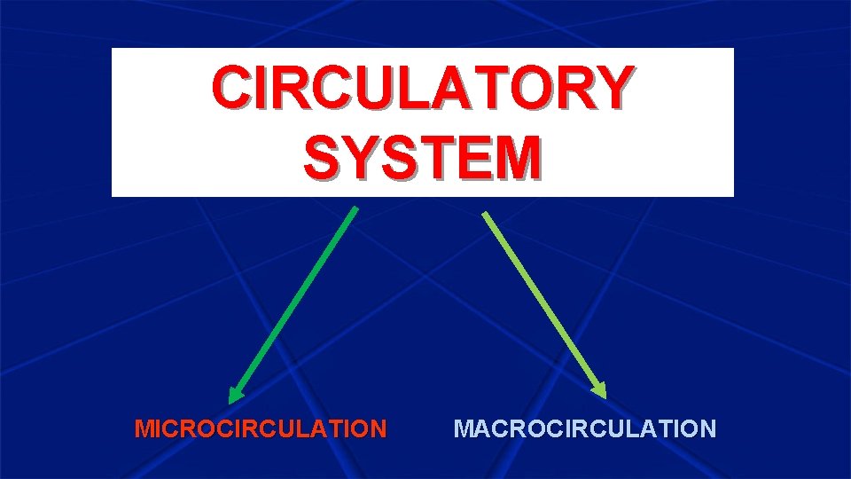 CIRCULATORY SYSTEM MICROCIRCULATION MACROCIRCULATION 