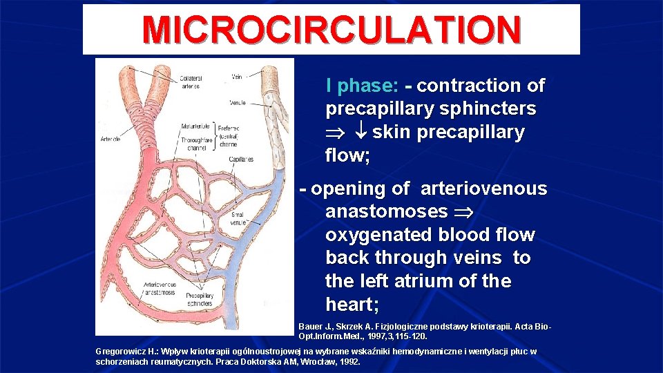 MICROCIRCULATION I phase: - contraction of precapillary sphincters skin precapillary flow; - opening of