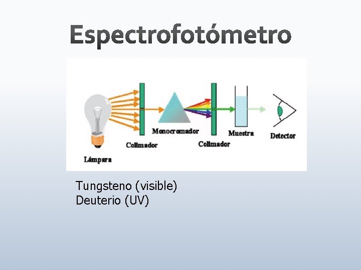 Tungsteno (visible) Deuterio (UV) 