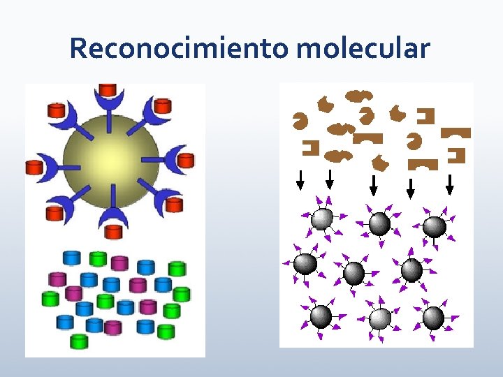 Reconocimiento molecular 