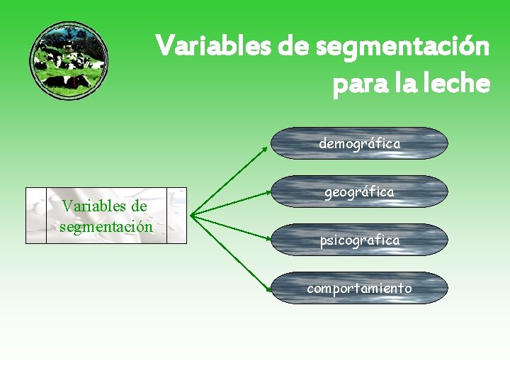 Variables de segmentación para la leche demográfica Variables de segmentación geográfica psicografica comportamiento 