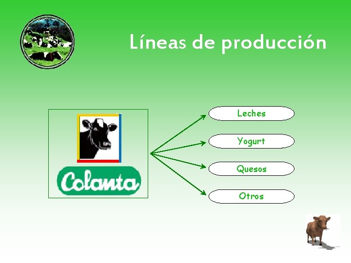 Líneas de producción Leches Yogurt Quesos Otros 