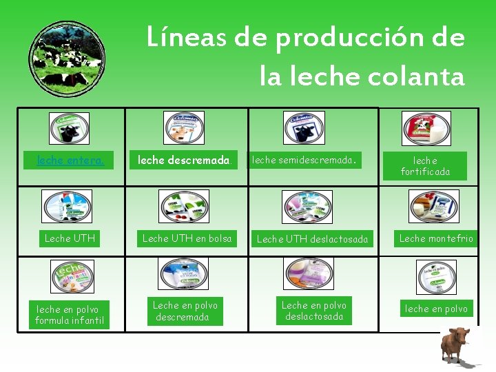 Líneas de producción de la leche colanta leche entera. leche descremada. Leche UTH en