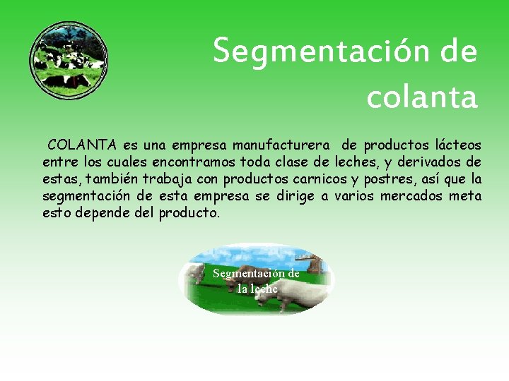 Segmentación de colanta COLANTA es una empresa manufacturera de productos lácteos entre los cuales