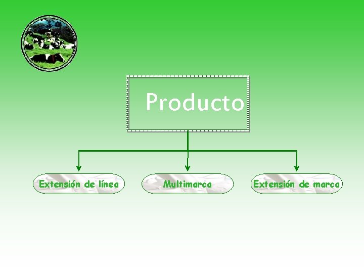 Producto Extensión de línea Multimarca Extensión de marca 