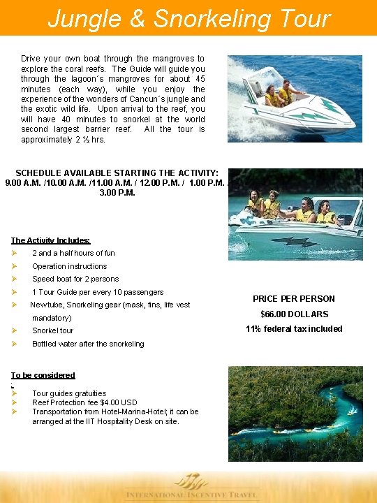 Jungle & Snorkeling Tour Drive your own boat through the mangroves to explore the Jungle & Snorkeling Tour Drive your own boat through the mangroves to explore the