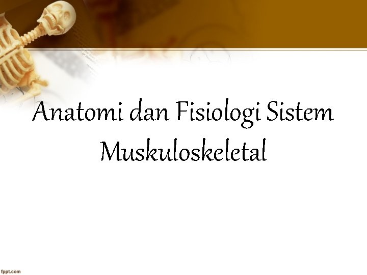 Anatomi dan Fisiologi Sistem Muskuloskeletal 