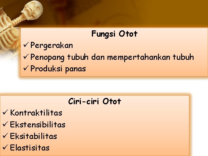 Fungsi Otot ü Pergerakan ü Penopang tubuh dan mempertahankan tubuh ü Produksi panas Ciri-ciri