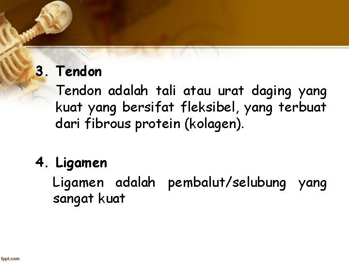 3. Tendon adalah tali atau urat daging yang kuat yang bersifat fleksibel, yang terbuat