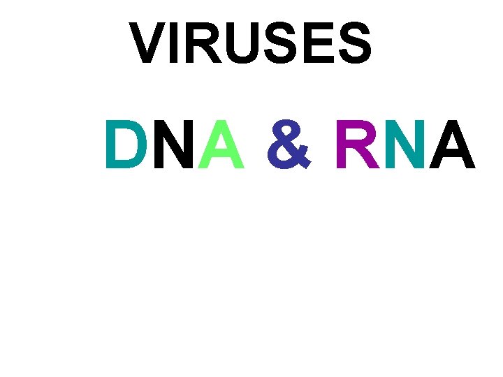 VIRUSES DNA & RNA 