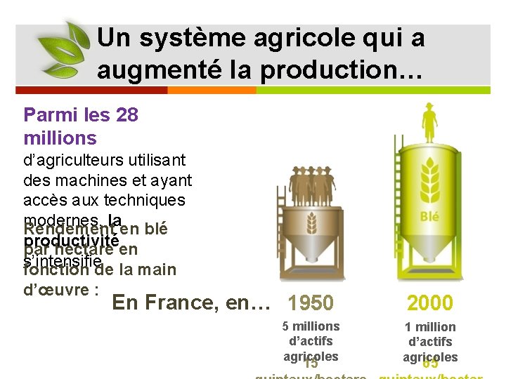 Un système agricole qui a augmenté la production… Parmi les 28 millions d’agriculteurs utilisant