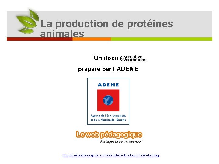 La production de protéines animales Un document en préparé par l’ADEME et http: //lewebpedagogique.