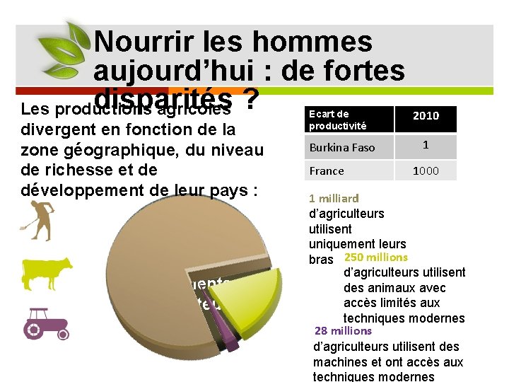 Nourrir les hommes aujourd’hui : de fortes disparités ? Les productions agricoles 2010 divergent