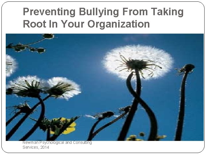 Preventing Bullying From Taking Root In Your Organization Newman Psychological and Consulting Services, 2014