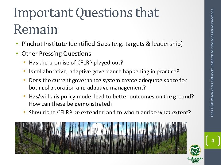  • Pinchot Institute Identified Gaps (e. g. targets & leadership) • Other Pressing