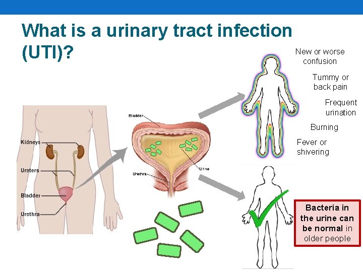 What is a urinary tract infection New or worse (UTI)? confusion Tummy or back