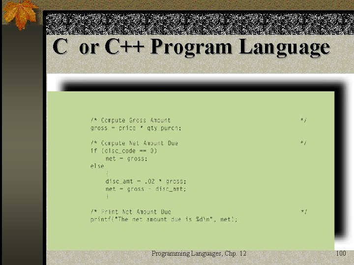 C or C++ Program Language Programming Languages, Chp. 12 100 