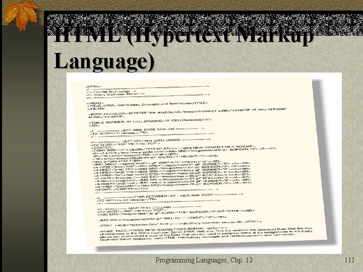 HTML (Hypertext Markup Language) Programming Languages, Chp. 12 111 