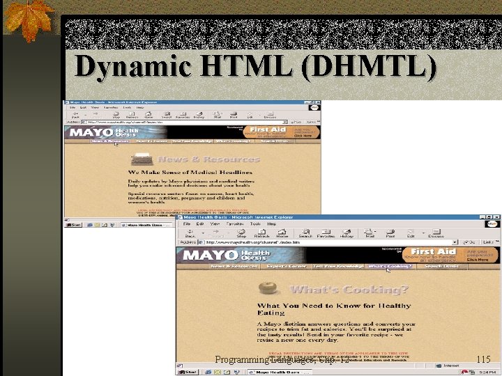 Dynamic HTML (DHMTL) Programming Languages, Chp. 12 115 