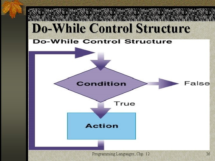 Do-While Control Structure Programming Languages, Chp. 12 36 