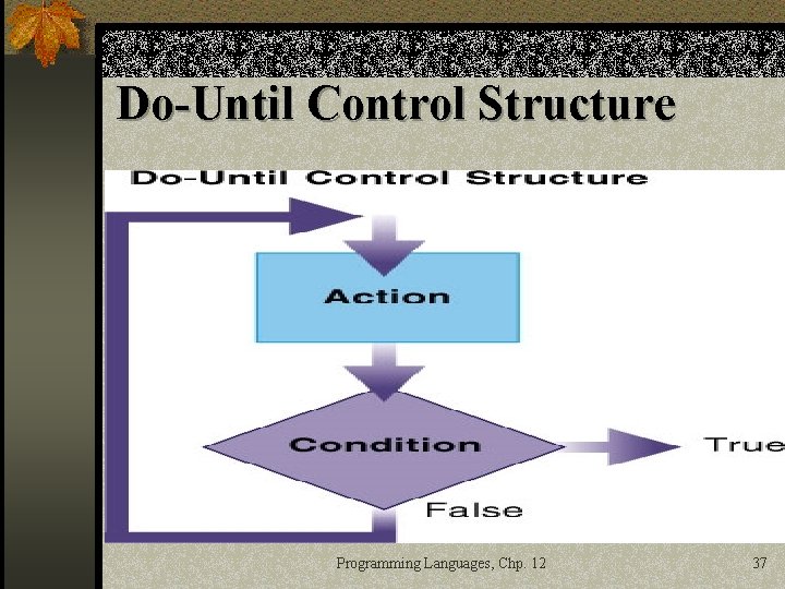 Do-Until Control Structure Programming Languages, Chp. 12 37 