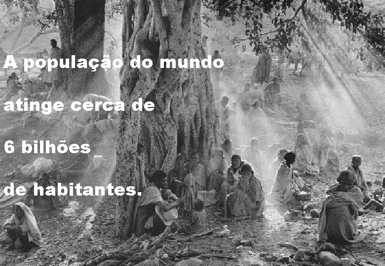 A população do mundo atinge cerca de 6 bilhões de habitantes. 