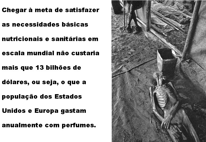 Chegar à meta de satisfazer as necessidades básicas nutricionais e sanitárias em escala mundial