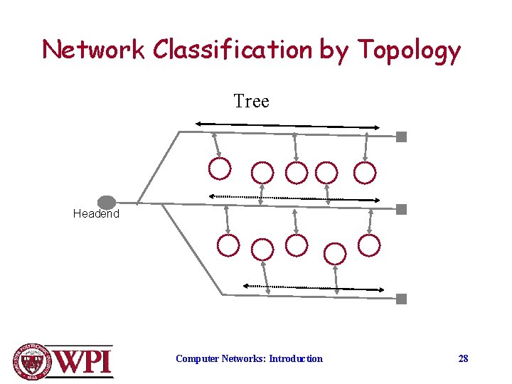 Network Classification by Topology Tree Headend Computer Networks: Introduction 28 
