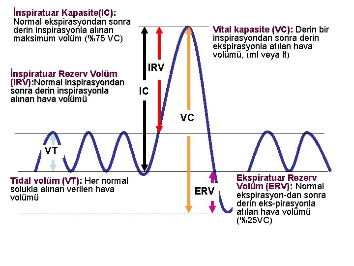 İnspiratuar Kapasite(IC): Normal ekspirasyondan sonra derin inspirasyonla alınan maksimum volüm (%75 VC) İnspiratuar Rezerv