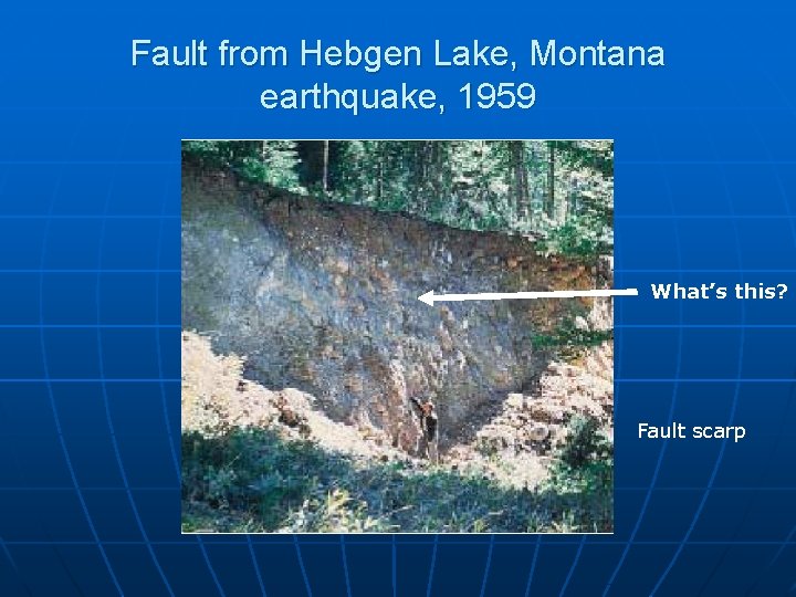 Fault from Hebgen Lake, Montana earthquake, 1959 What’s this? Fault scarp 