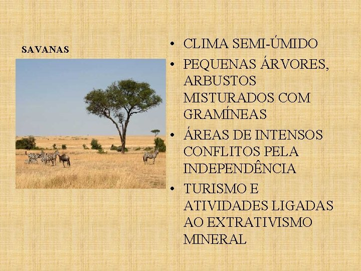 SAVANAS • CLIMA SEMI-ÚMIDO • PEQUENAS ÁRVORES, ARBUSTOS MISTURADOS COM GRAMÍNEAS • ÁREAS DE