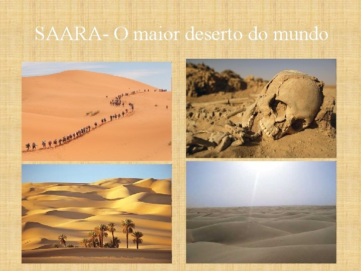 SAARA- O maior deserto do mundo 