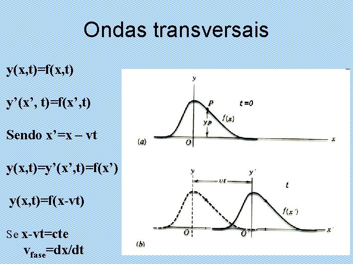 Ondas transversais y(x, t)=f(x, t) y’(x’, t)=f(x’, t) Sendo x’=x – vt y(x, t)=y’(x’,