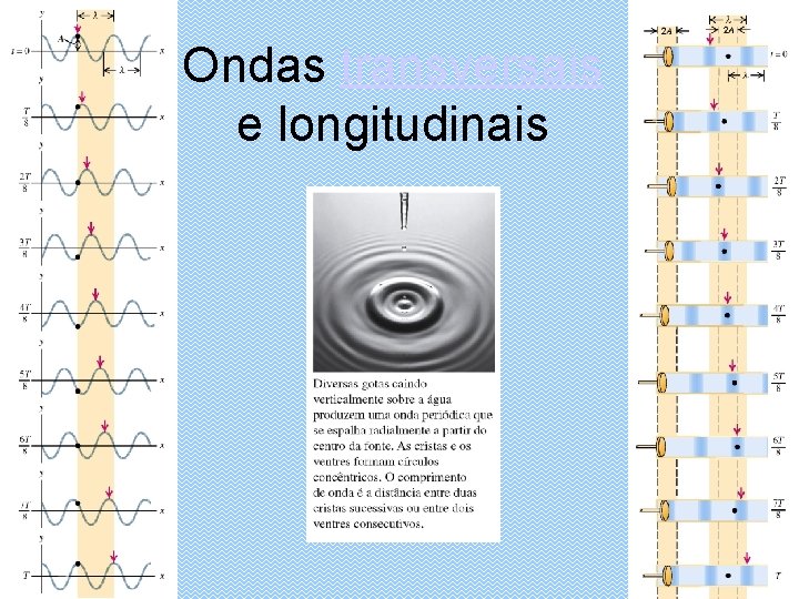 Ondas transversais e longitudinais 