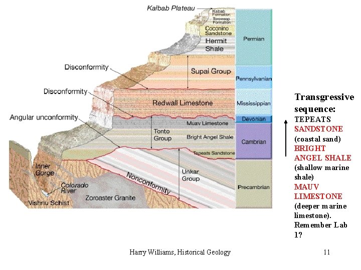 Transgressive sequence: TEPEATS SANDSTONE (coastal sand) BRIGHT ANGEL SHALE (shallow marine shale) MAUV LIMESTONE