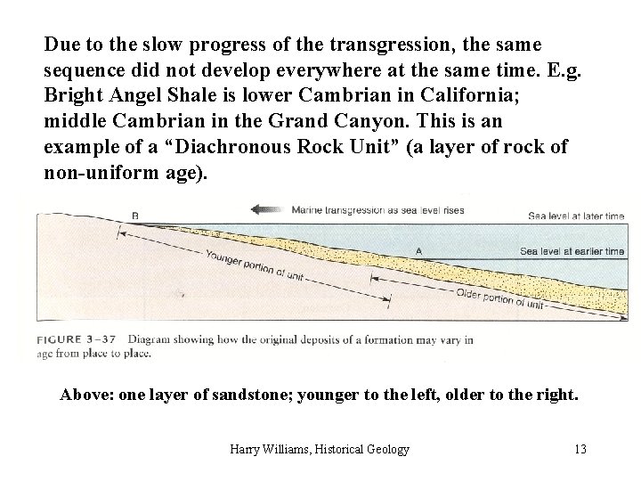 Due to the slow progress of the transgression, the same sequence did not develop