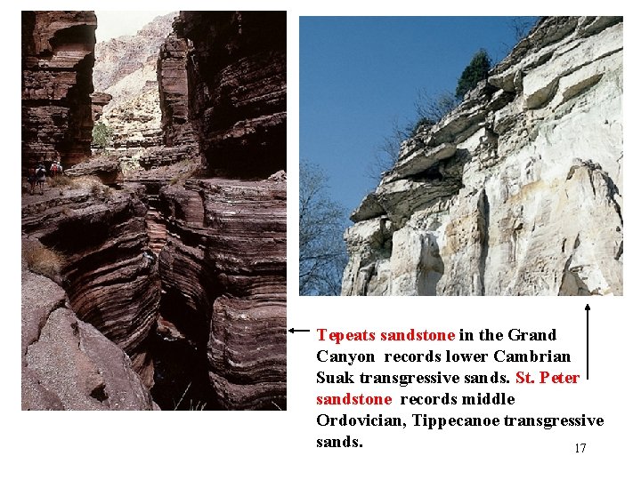 Tepeats sandstone in the Grand Canyon records lower Cambrian Suak transgressive sands. St. Peter