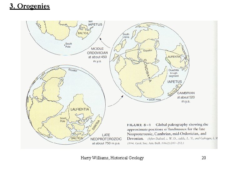 3. Orogenies Harry Williams, Historical Geology 20 