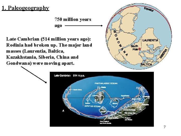 1. Paleogeography 750 million years ago Late Cambrian (514 million years ago): Rodinia had