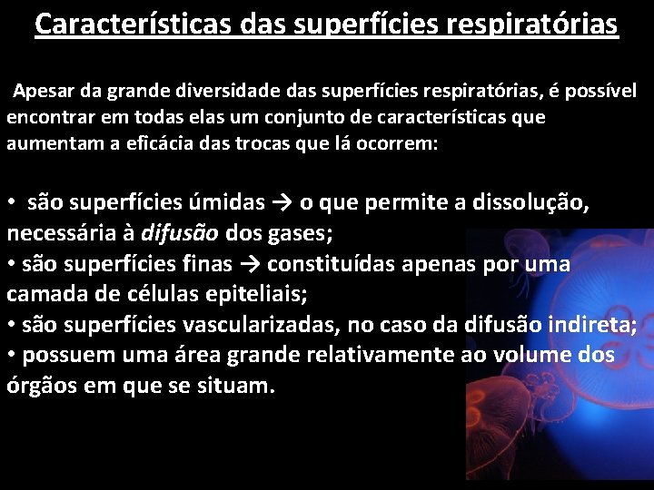 Características das superfícies respiratórias Apesar da grande diversidade das superfícies respiratórias, é possível encontrar