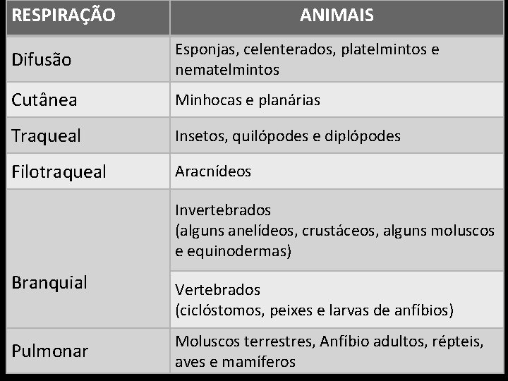 RESPIRAÇÃO ANIMAIS Difusão Esponjas, celenterados, platelmintos e nematelmintos Cutânea Minhocas e planárias Traqueal Insetos,