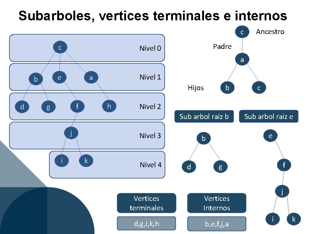 Subarboles, vertices terminales e internos c c Ancestro Padre Nivel 0 a e b