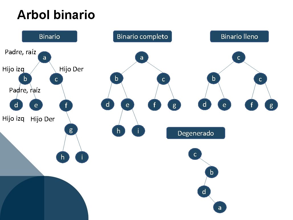 Arbol binario Binario Padre, raíz Binario completo Binario lleno a c a Hijo izq