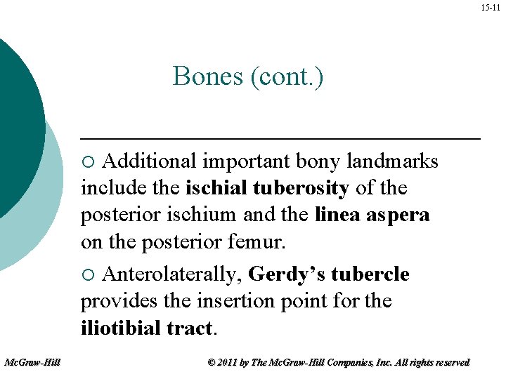 15 -11 Bones (cont. ) Additional important bony landmarks include the ischial tuberosity of