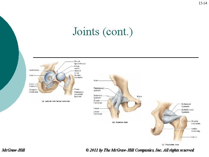 15 -14 Joints (cont. ) Mc. Graw-Hill © 2011 by The Mc. Graw-Hill Companies,