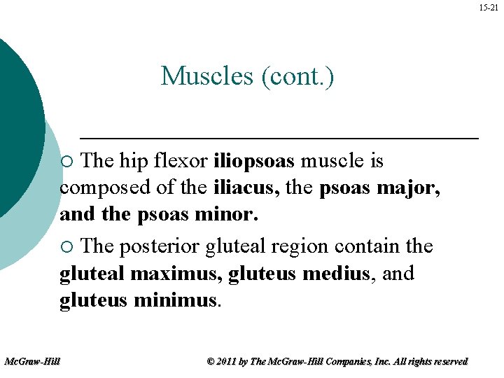 15 -21 Muscles (cont. ) The hip flexor iliopsoas muscle is composed of the
